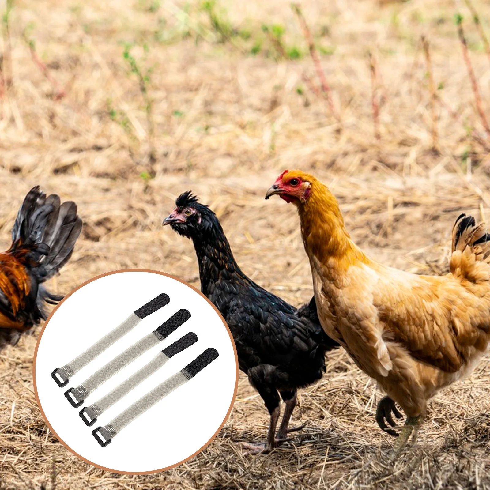 

4 pcs No Crowing Rooster Collar Adjustable Noise Control Neckbands For Poultry Chickens Ducks Geese Stop Crow Supply