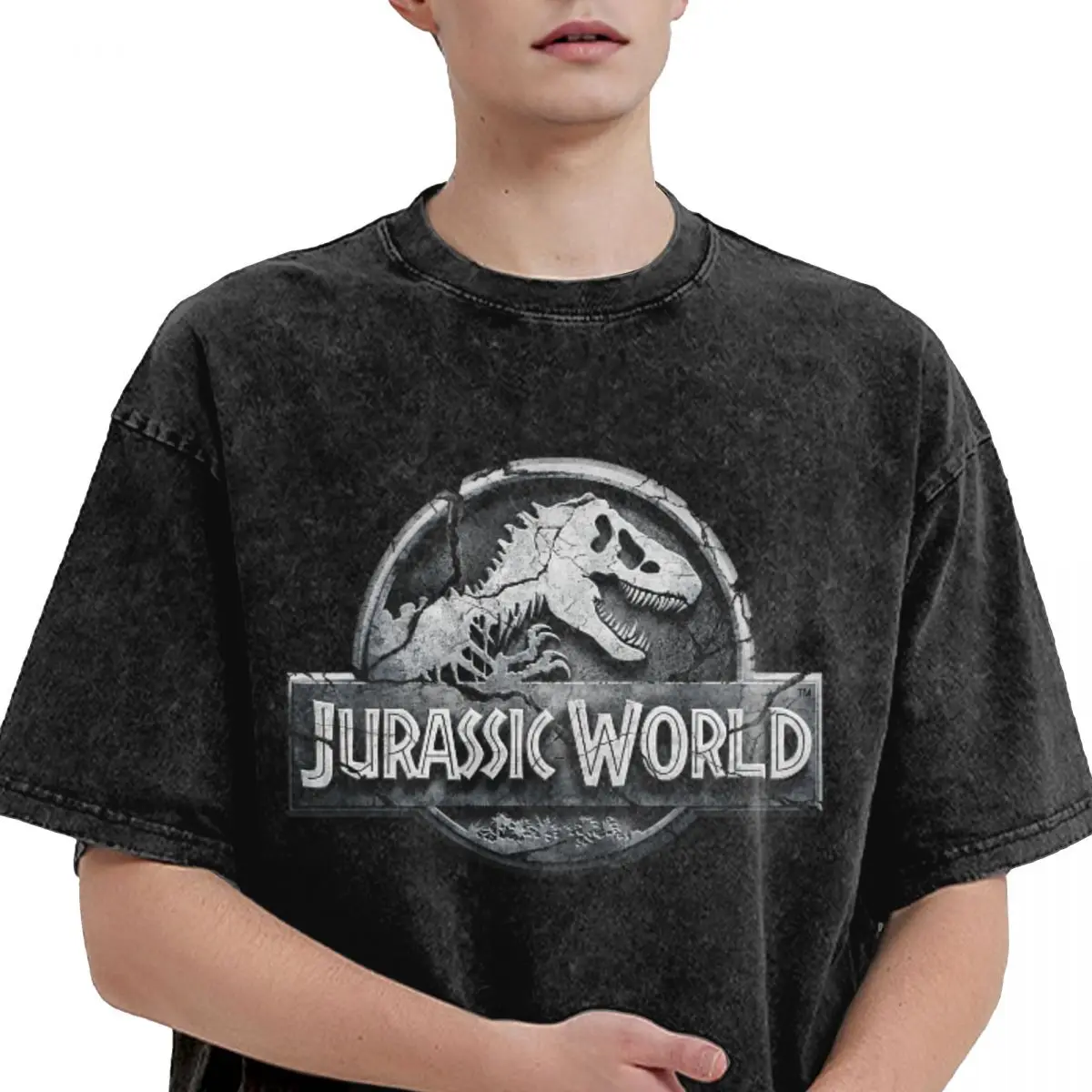 Dinosaur Jurassic Park Washed T Shirts Streetwear Hip Hop Casual T-Shirts Tees Tops for Men Women 100% Cotton Oversize Graphic