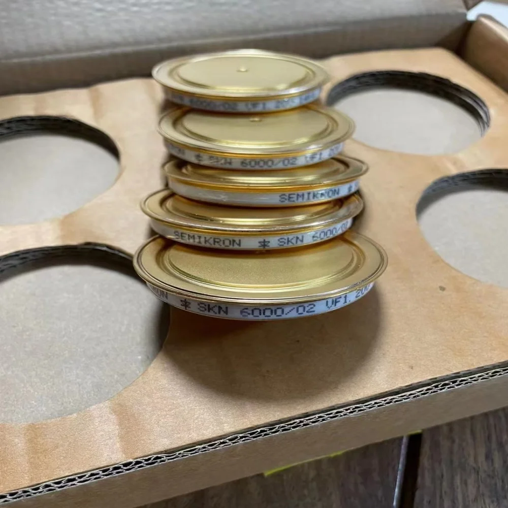 

SKN6000/02 SKN6000/04 SKN6000/06 SKN6000/02N T879N200TOF T879N1800TOF НОВЫЙ