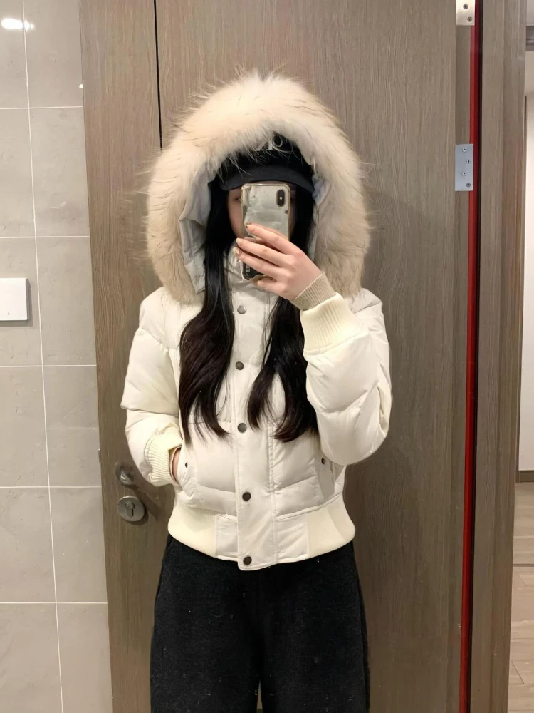 Winter Korean Vintage Short Zipper Padded Coat  Women Aesthetic Design Long Sleeve Fur Collar Outerwear Casual Retro Slim Jacket