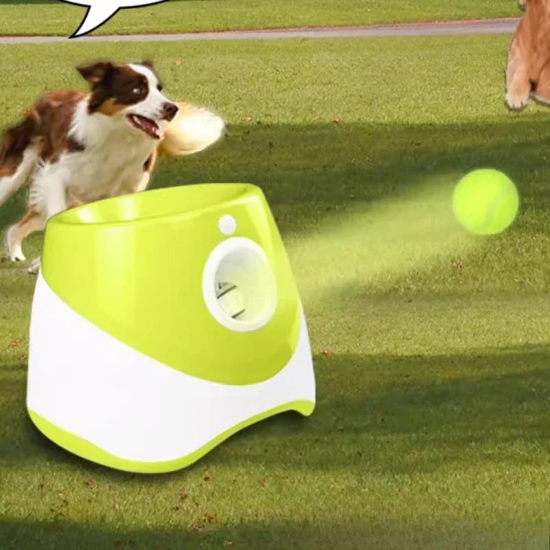 Pet dog automatic multi-color tee outdoor throwing tennis training exercise intelligence medium-sized dog household
