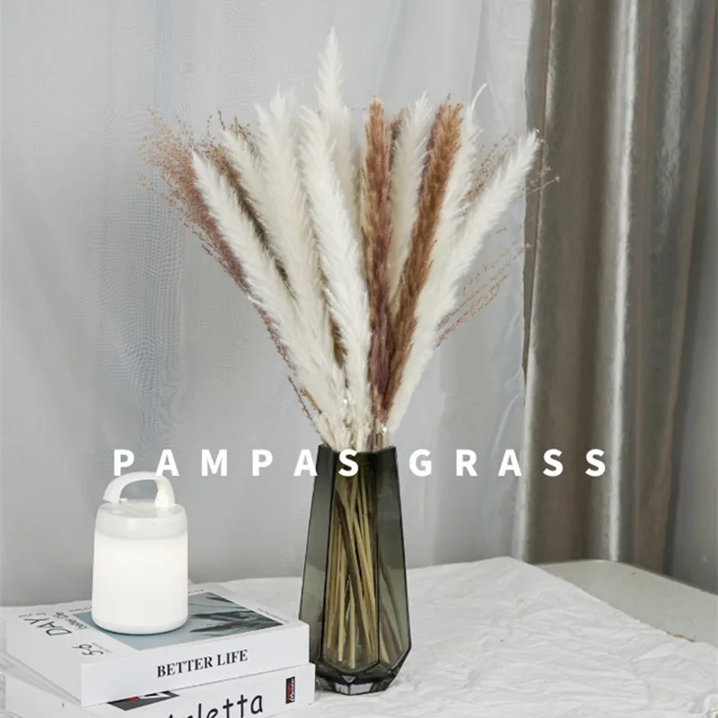 

30pcs Dried Pampas Grass Premium Dry Bouquet with Naturally Pampa for Boho Home Decor Wedding Decoration DIY Small Reed Plants