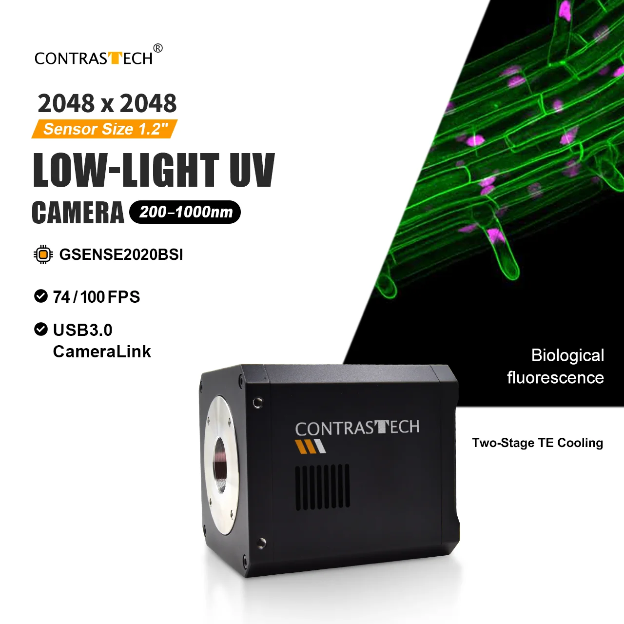 High Quantum Efficiency High Resolution 8MP 2 Inch UV Enhanced CMOS Sensor UV Bandpass Filter Camera for Forensic Imaging