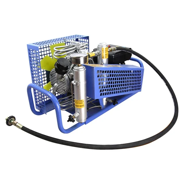 

Portable Air ing cylinder filling apparatus Inflator pump