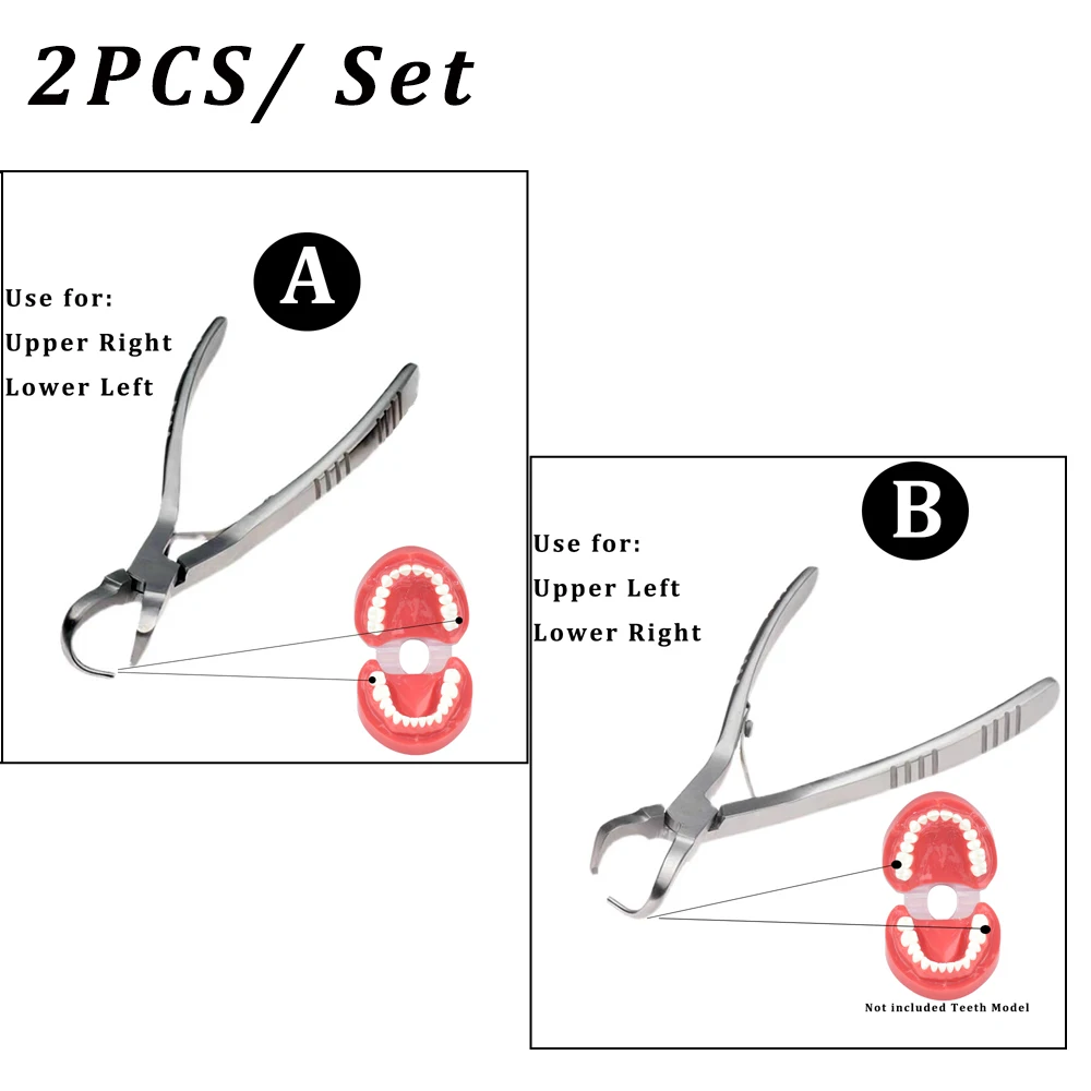 2Pcs Dental Temporary teeth Crown Removal Pliers Temporary tooth forceps Dentist tools