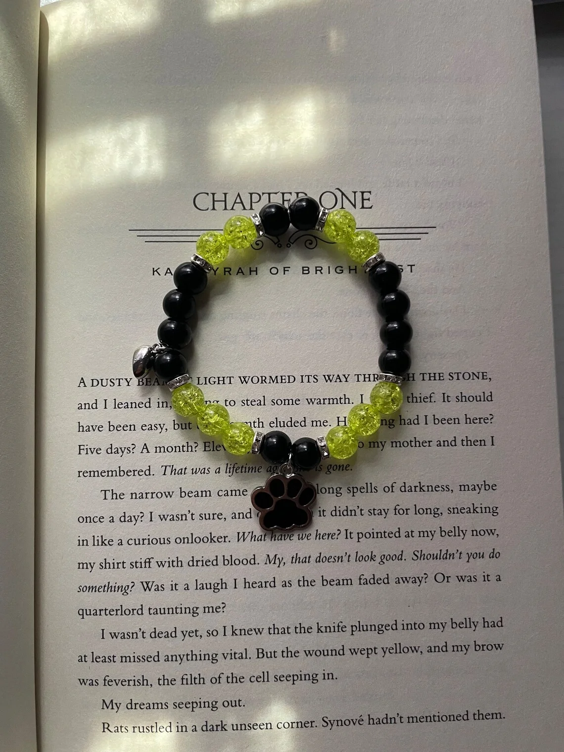 Black Cat and Ladybug Inspiration Bracelet