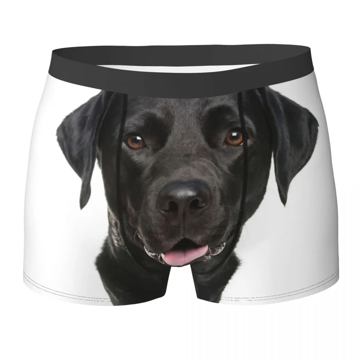 

Нижнее белье для собак лабрадора, черные мужские трусы для домашних животных, дизайнерские дышащие трусы-боксеры, большие размеры 2XL
