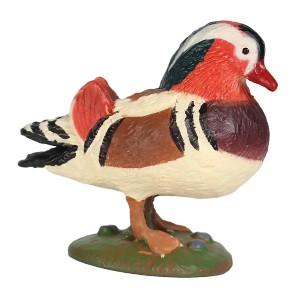 Mandarin Duck Figurine Science Figurines Cognitive Decoration