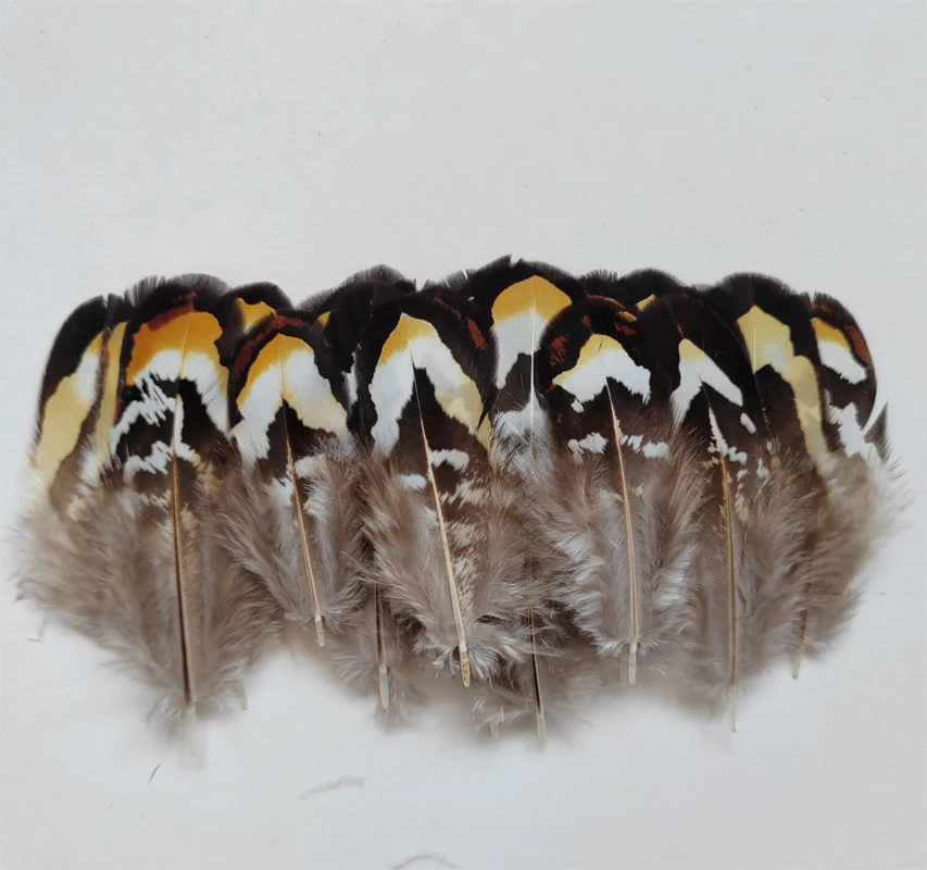 50 stks/partij Natuurlijke Bruin & Geel REEVES VENERY PAUW VLEUGELVEREN, Losse Reeves Quill Veren, pluimen voor knutselen