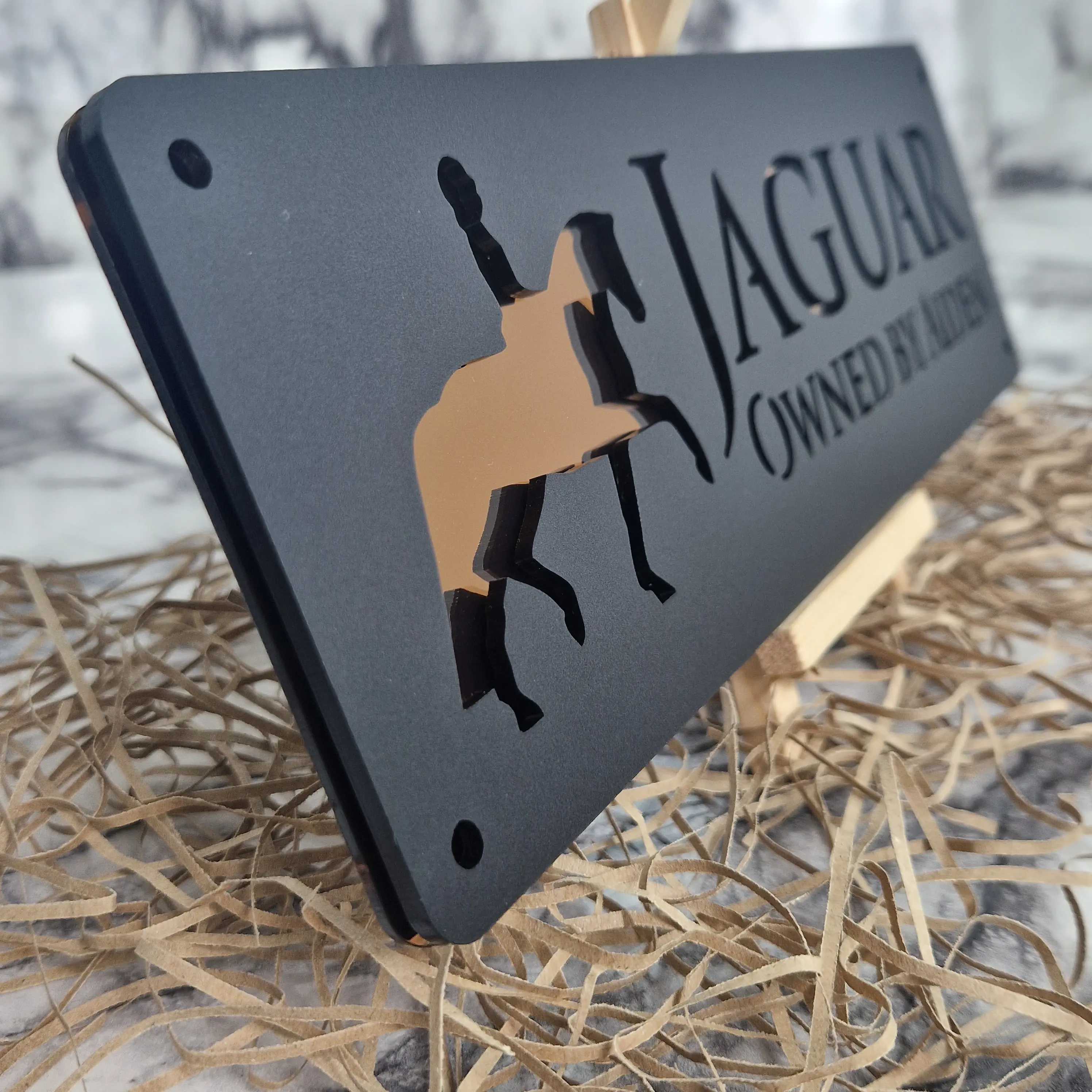 Customizable Stable Number Plate for Equestrian Enthusiasts - Personalized Gift house number Door plaque  Acrylic sign