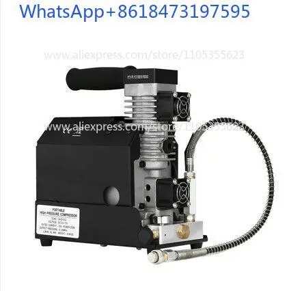 12V car air compressor 30mpa diving special pump pump Global air pump