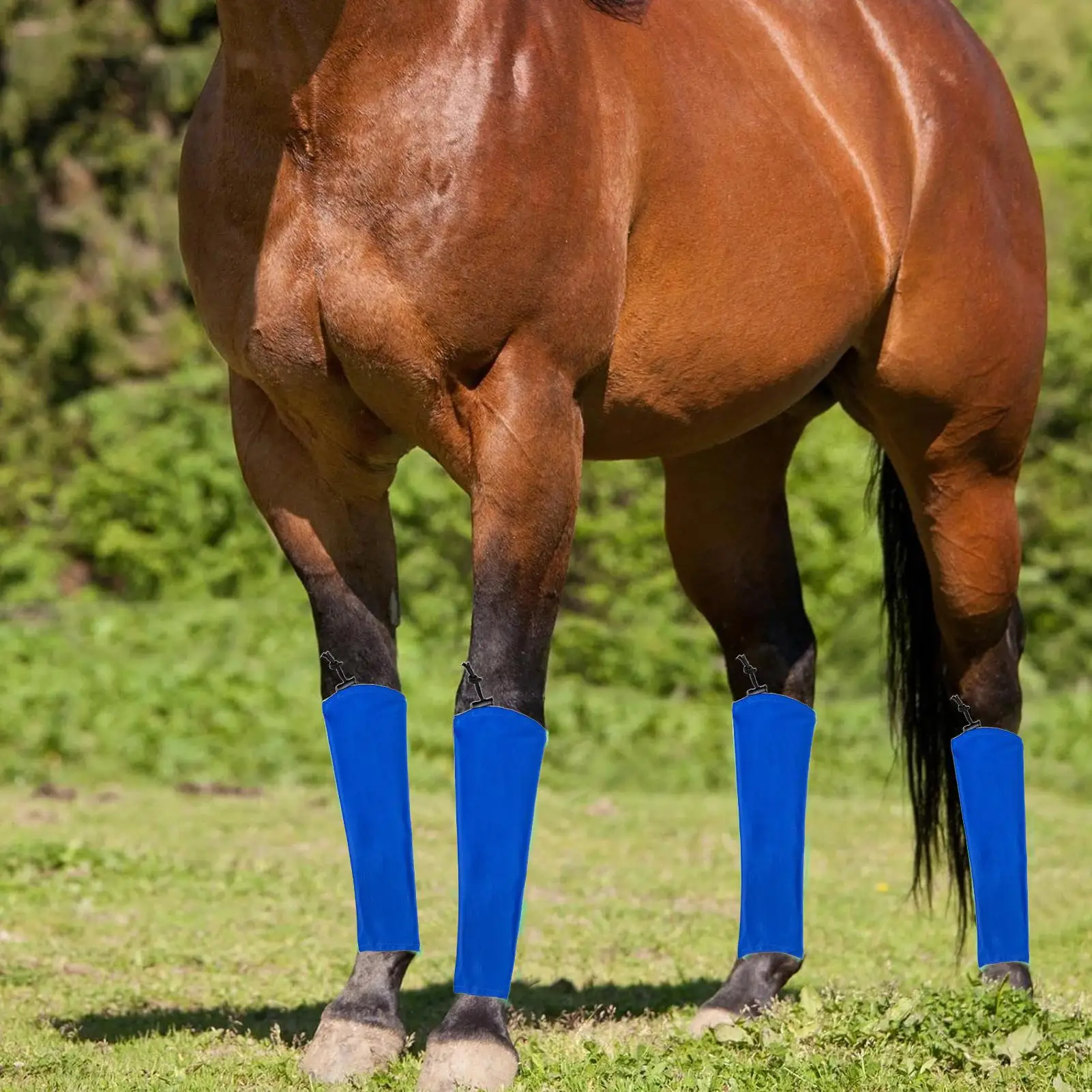 Botas para moscas de caballo, mallas transpirables que absorben los golpes, protectores de piernas de caballo para evitar moscas para saltar, 4 Uds.