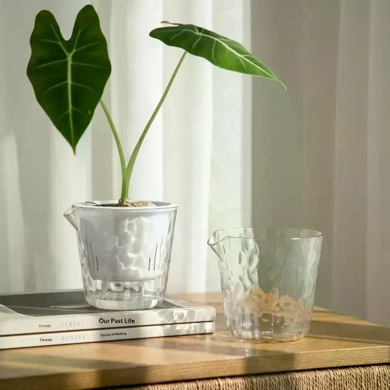 Self Watering Flower Pot Automatic Water Absorbing Flower Pot Transparent Double Layer Plastic Plant Decorative Pot