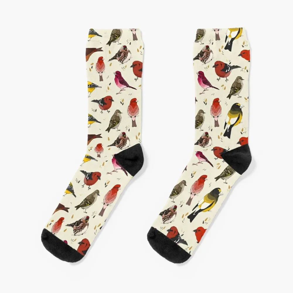 North American Finches Socks Running new year christmass gift designer Socks Man Women's