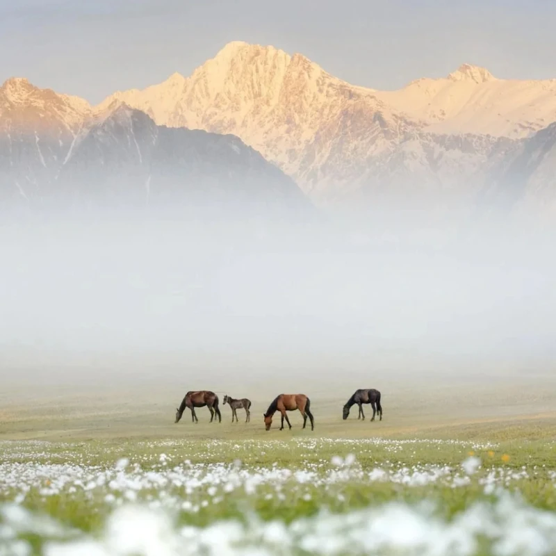 

JX Servo B130 Digital Servo - 130KG Mega Torque, Full CNC Metal Gear, Brushless, for 1/5 RC Cars, Trucks & Robotics