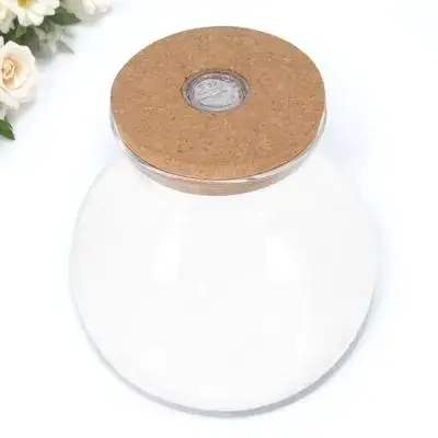 

Borosilicate Glass Ecological Bottle LED Light Landscape Crafts Bottle Easy Observe Display DIY Microlandscape