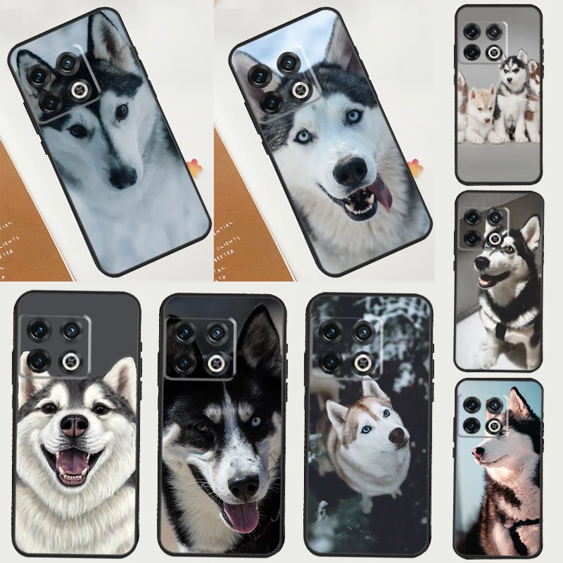 Чехол для OnePlus Nord 2 2T N10 N20 N100 N200 CE Ace OnePlus 9 11 10 Pro 8T 9R 10T 9RT Чехол для OnePlus Nord 2 2T N10 N20 N100 N200 CE Ace OnePlus 9 11 10 Pro 8T 9R 10T 9RT