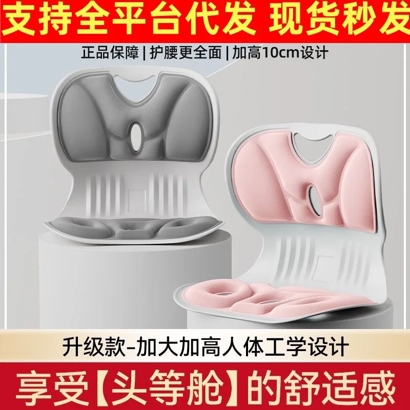 Lumbar Support Cushion for Back for Office Chair Dorm Study Desk for Adults Students Long Sitting