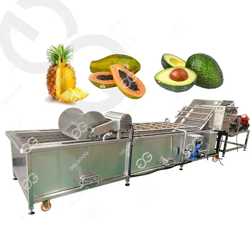 Fruit and Veggie Washing Cleaning Machine Fresh Wild Vegetable Washing Machines Fruits Avocats