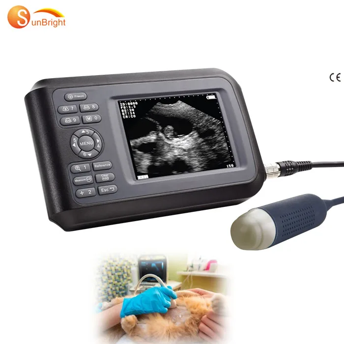 

BT Medical vet ultrasound machine ultrasound machine portable animal ultrasound machine