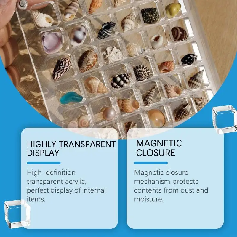 94PC Acrylic Shells Display Case Dustproof Moisture Proof Seashells Holder for Collectors Seashells Presentation Box