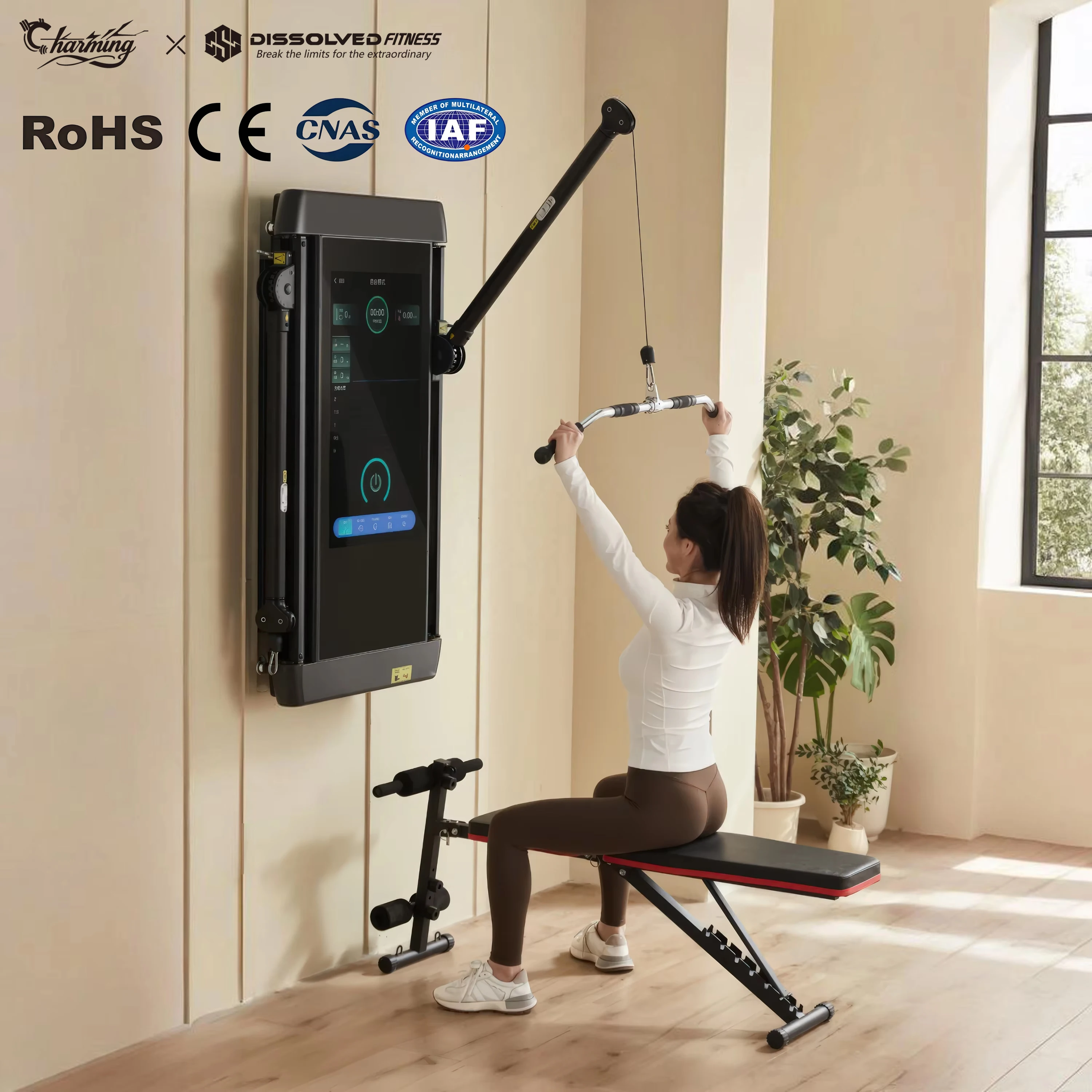 Smart Fitness Mirrors Multi-Function Station Gym Workout Exercise Including Chest Press Leg Press Functional Fitness Mirrors