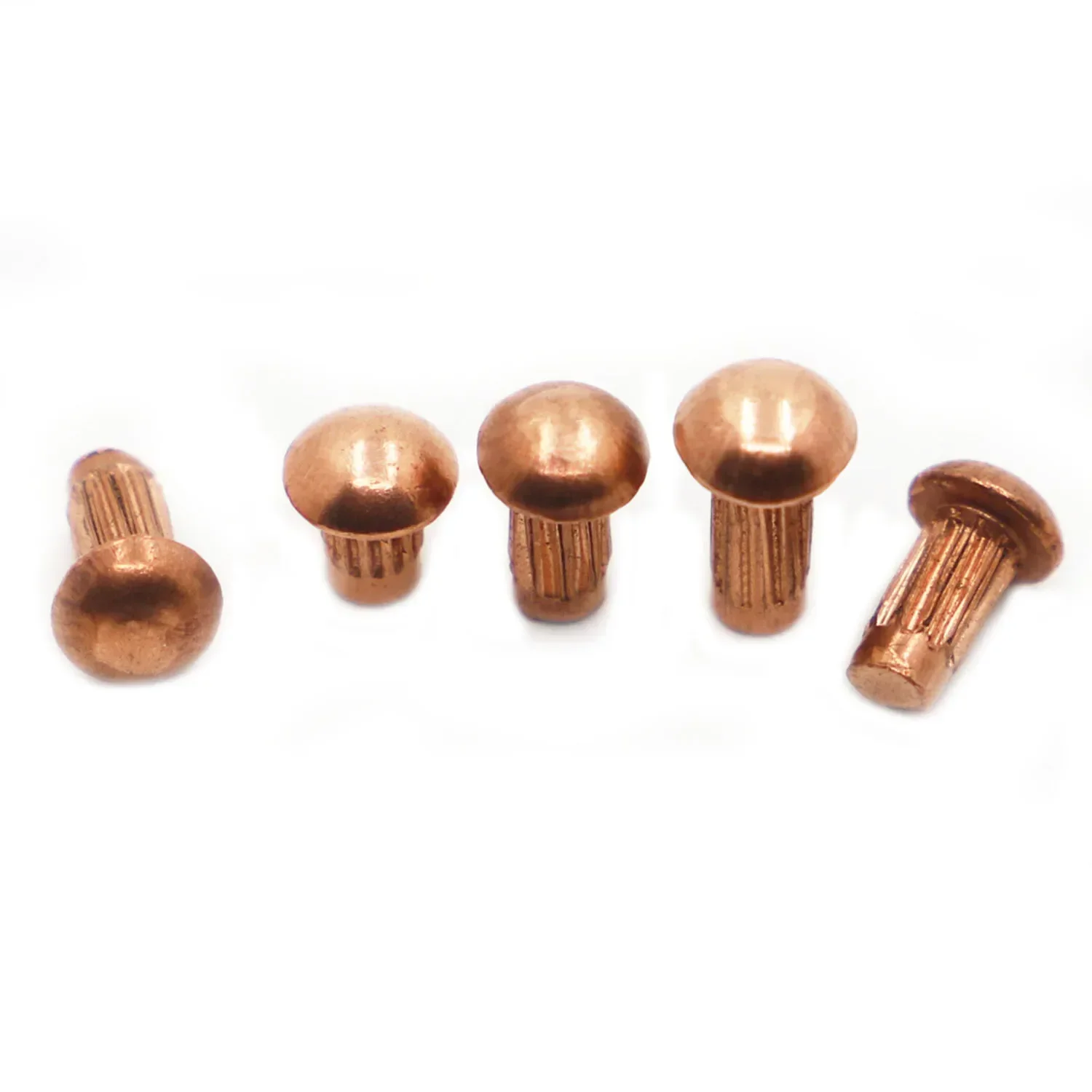 

M2 M2.5 M3 M4 Round Button Head Copper Knurled Solid Rivets For Label Name Plate 10-50pcs GB827