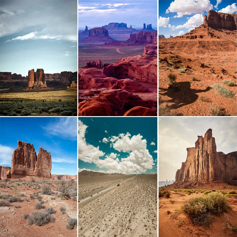 

Succulents Desert Landscape Photography Backdrops Cactus Plant Joshua Tree National Park Rock Formations Photo Background DR-01