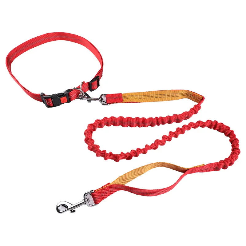 Pet leash Running leash, retractable dog leash, dog walking pet supplies