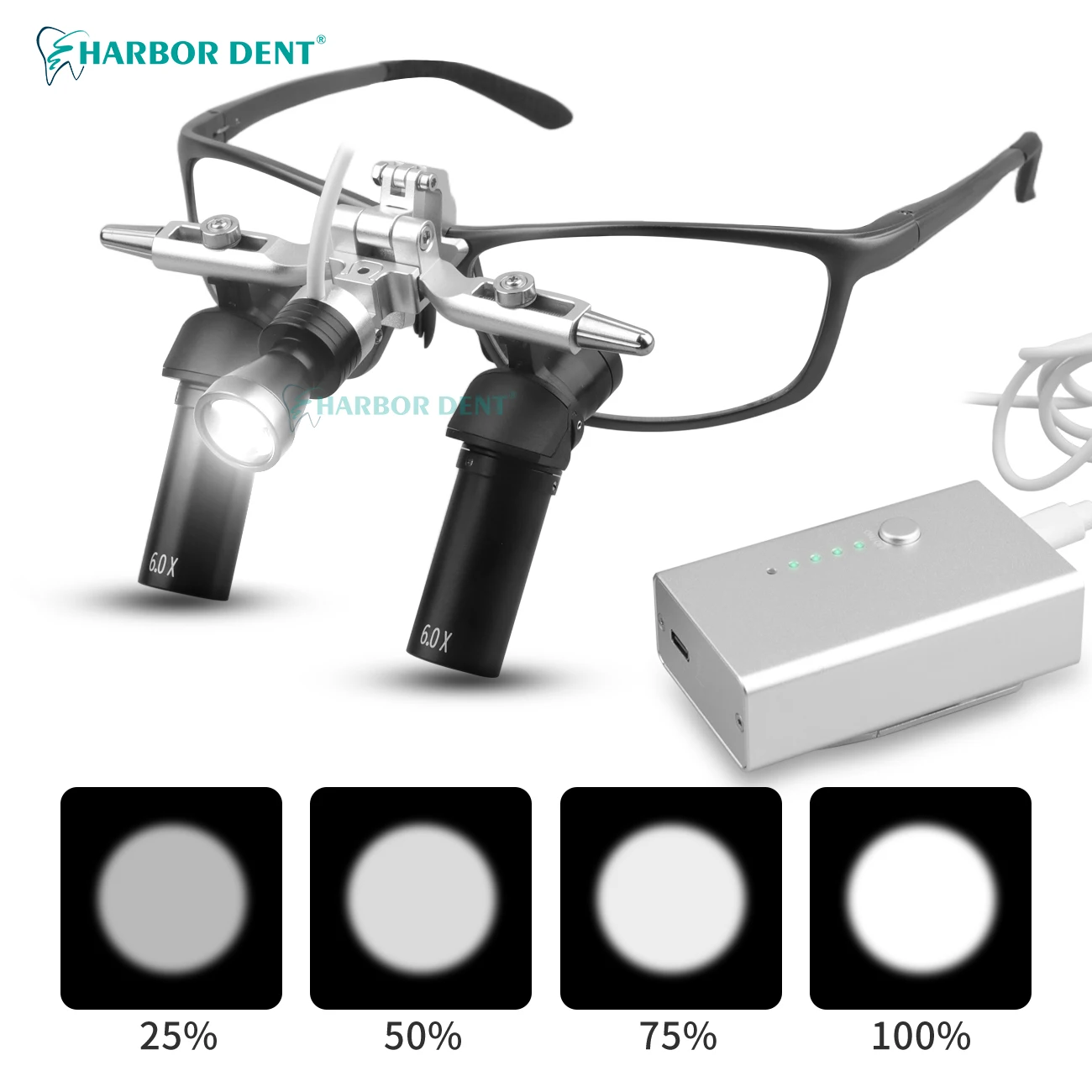 Ergo 6x High-Definition Optical Lens Dental Surgical Loupes 350-420mm Adjustable Working Distance LED Light Power Machinery