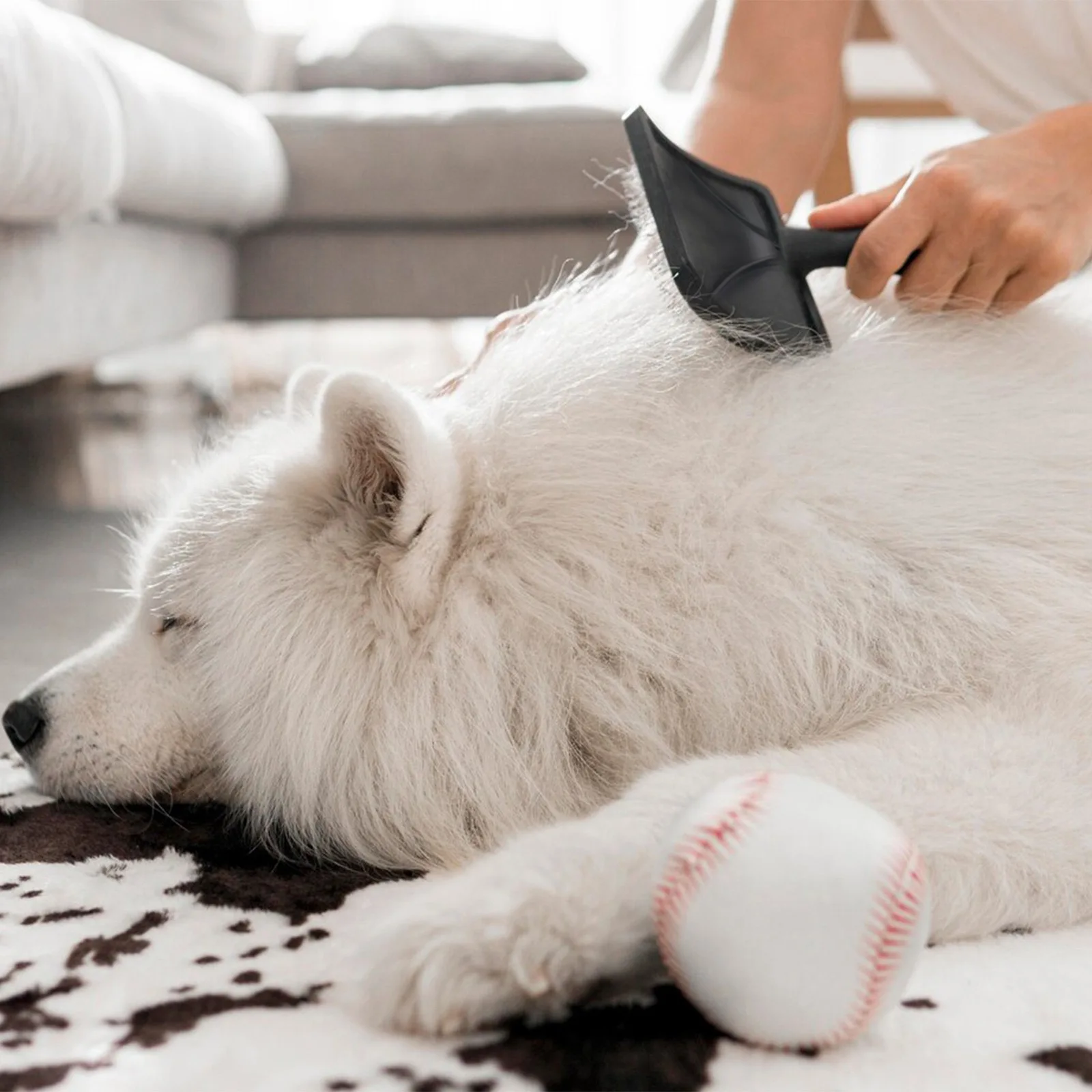1/2 Stück Mittelgroßer bis Großer Tierpflegekamm, Haarbürste, Entfernt Lose Haare, Großer Dichter Tiermassagekamm, Universeller Pflegekamm für Katzen und Hunde, Glättet das Haar – Detail 8