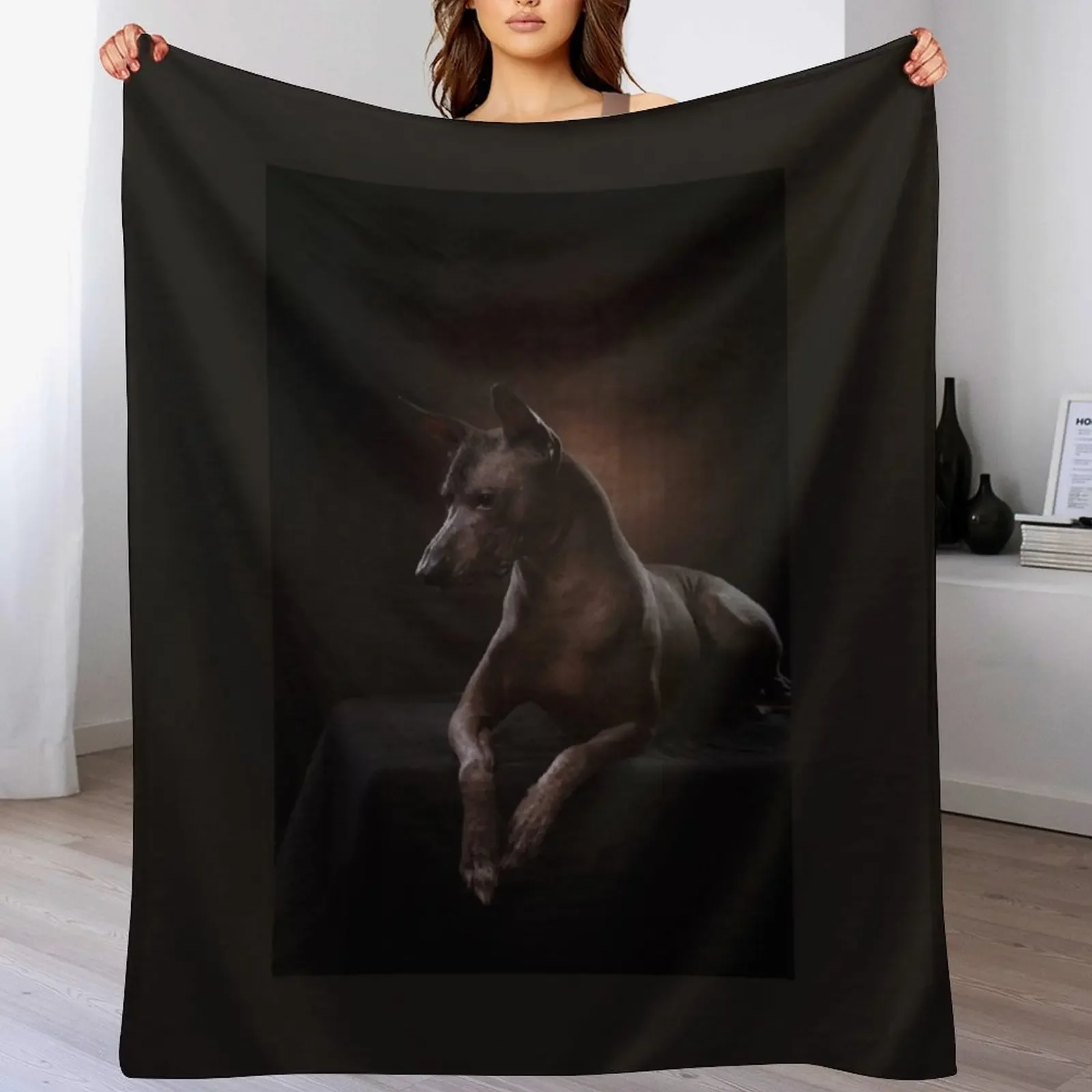 New Xoloitzcuintle Throw Blanket Fashion Sofas Luxury Throw Decorative Beds Blankets