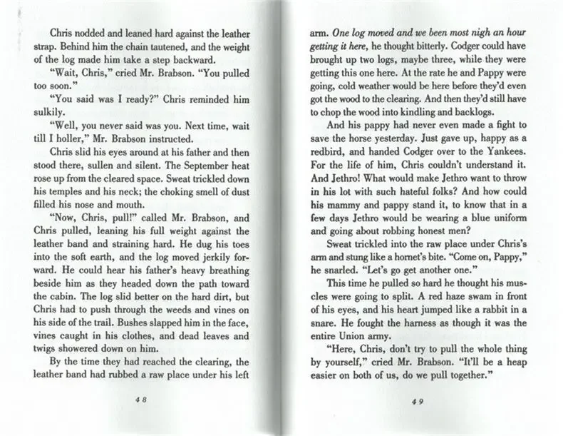 The Perilous Road, Children's books aged 9 10 11 12 English books, Literature novels 9780152052041