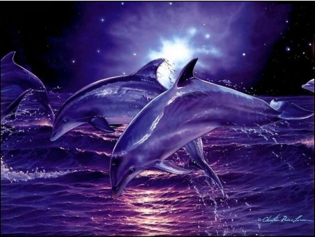 

Dolphin Diamond embroidery Paintings Animals Full 5D Diy Diamond painting mosaic алмазная мозаика decoración hogar ダイヤモンドアート