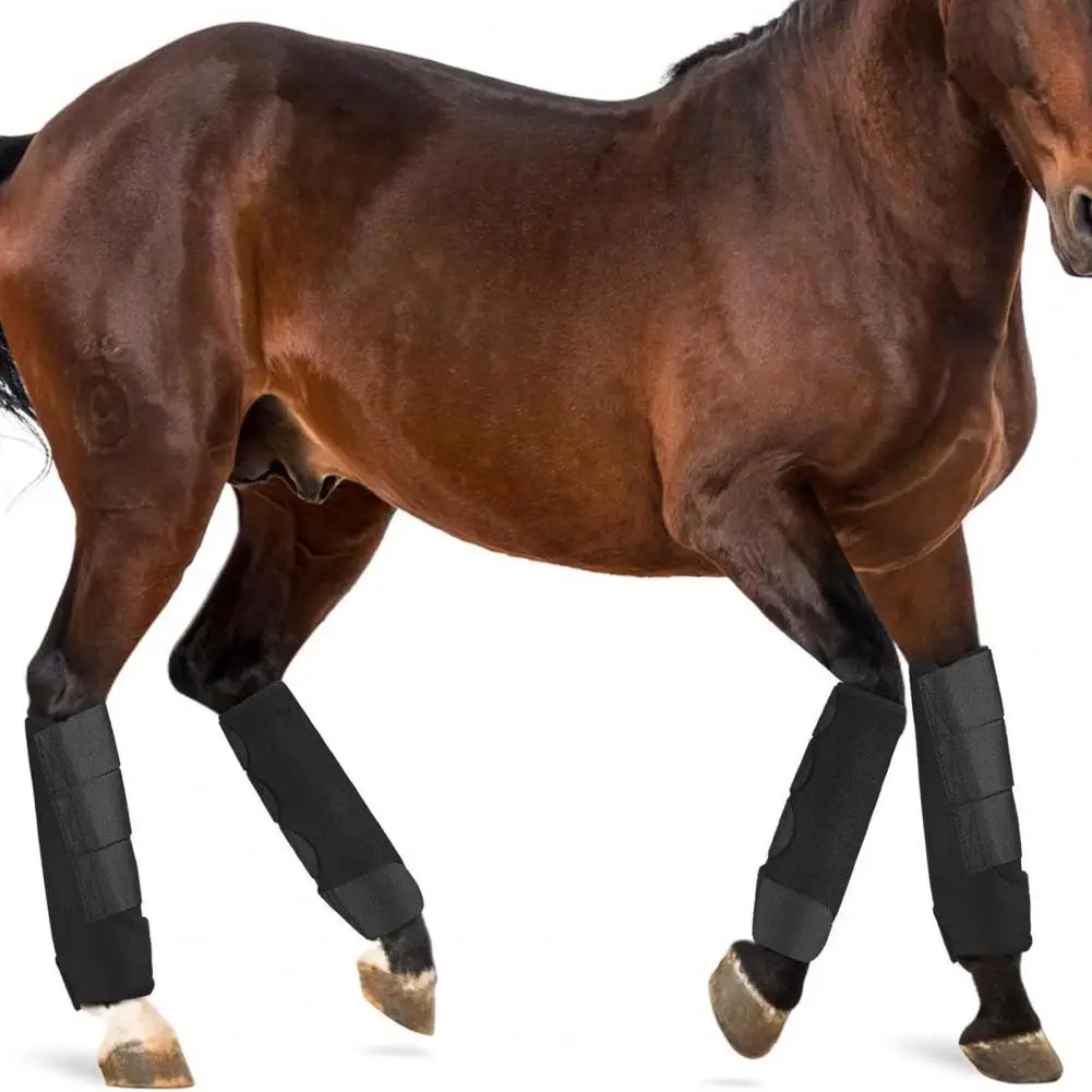 Envoltório flexível para pernas de cavalo, envoltório para pernas de cavalo equestre para absorção de choque, conjunto de 2 para prática equestre