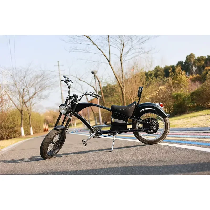 1000W Electric Bicycle 48V Dual Seat Full Suspension Chopper Ebike 20x4 Inch Fat Tire Rear Hub Motor Carbon Steel Frame US