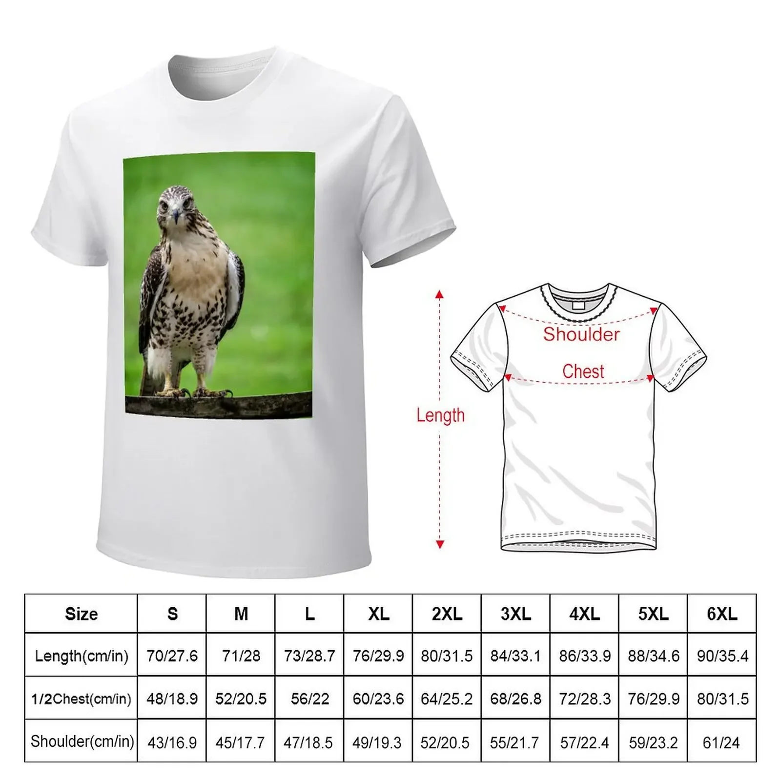 Beautiful Red Tail Hawk On A Railing T-Shirt sublime graphic t shirts boys whites cotton graphic tees mens clothing