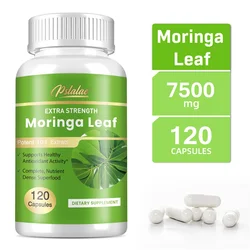 Moringa Leaf Capsules - Immune System & Energy Booster, Metabolism Booster, Antioxidant