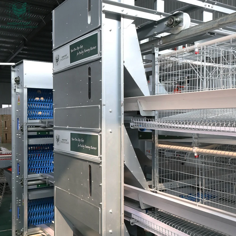 Hightop Complete Automatic Egg Layers Chicken Cage Large H Shaped Battery Chicken Poultry Cage for 30000 50000 Layers House