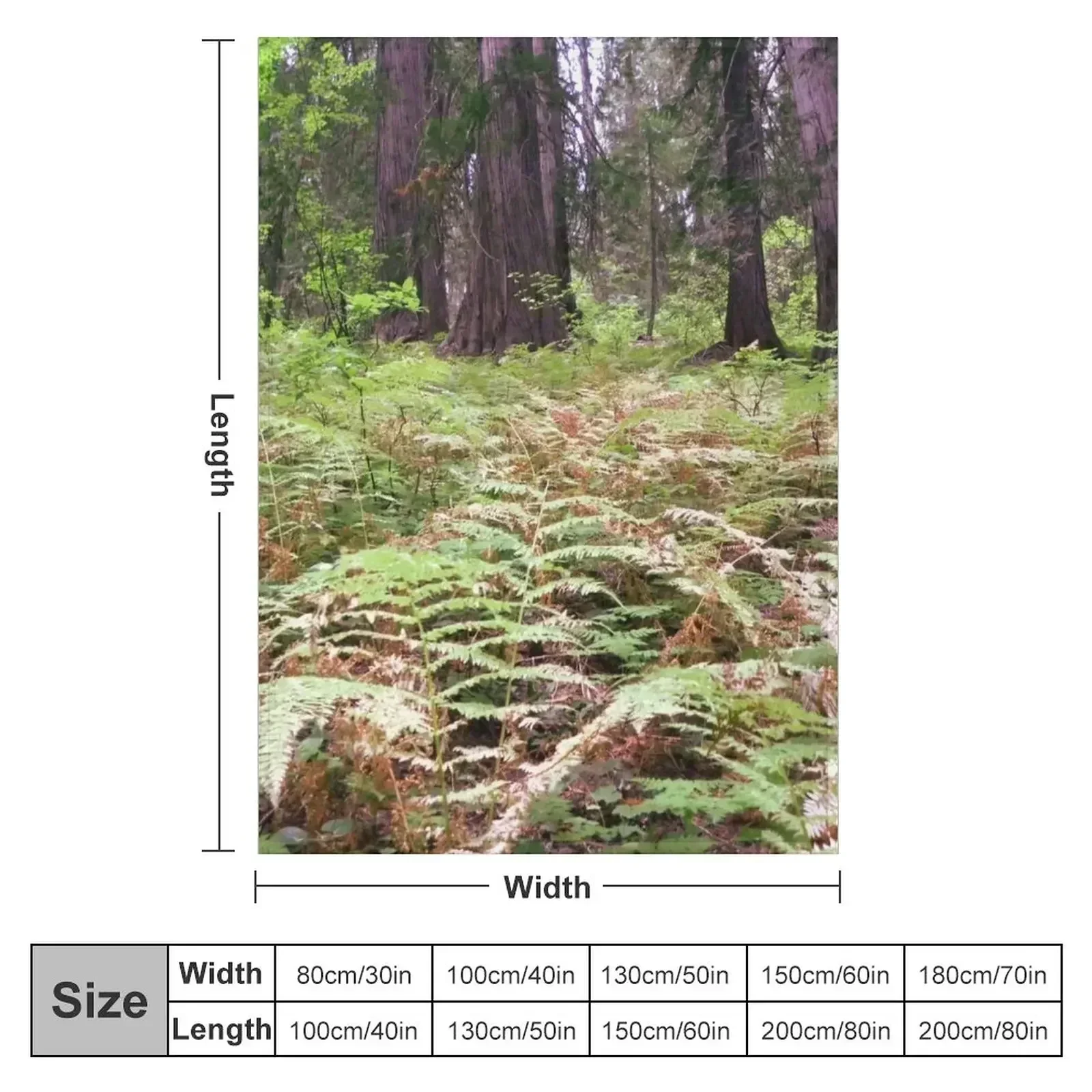 New Northwest forest with trees and ferns Throw Blanket couch cozy soft plush fuzzy picnic outdoor blanket