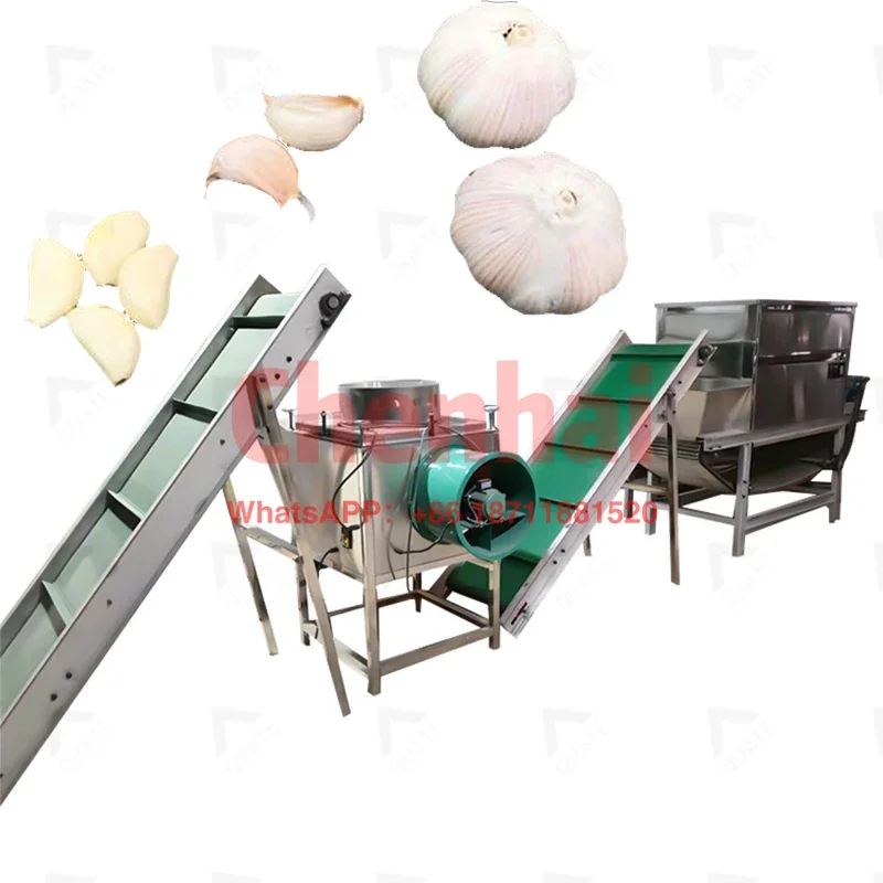 Fully Automatic Garlic Processing Line Garlic Clove Separator Machine Garlic Cleaning Machine