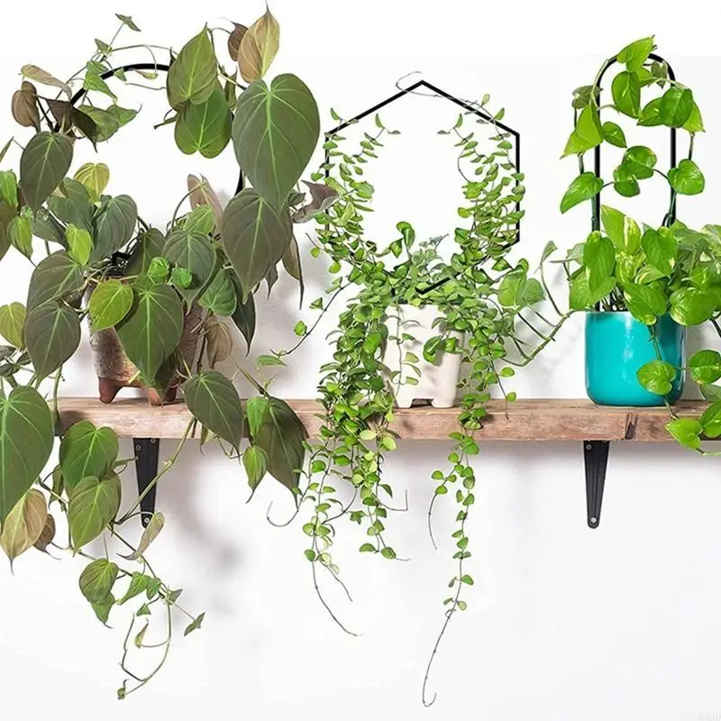 

Металлическая шпалера для растений, 3 шт. в упаковке, держатель для бонсай из кованого железа C5AD