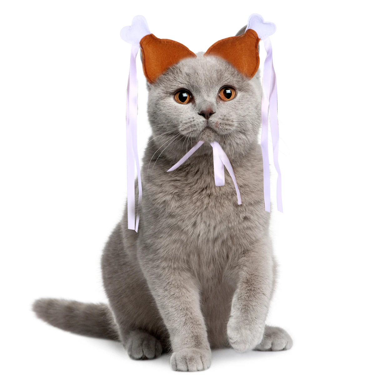 

2pcs Pet Hair Band Chicken Leg Headdress Hoop Size Fashion Headband Drumsticks Accessories Dog Cat Party Festival Photo