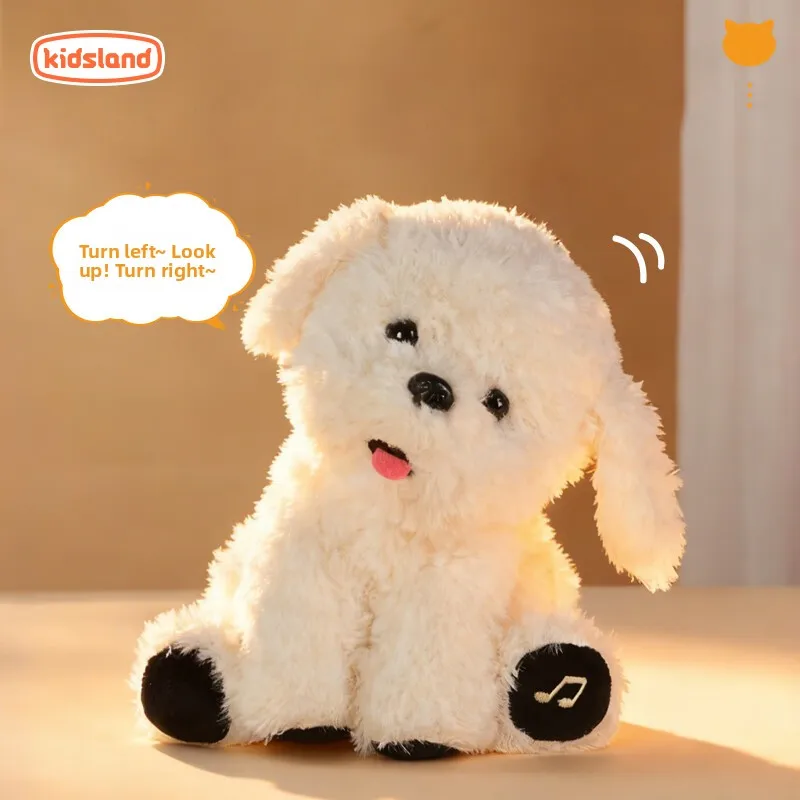 

Новогодний подарок, поющий медвежонок, кубическая игрушка, забавное гнездо, маленький счастливый слон, кукла в хованке и шоки, успокаивающая и развлекательная игрушка для ребенка