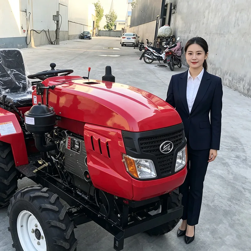 

Customized Ride-On Plowing Tractor Adopting Wheel Rotary Tiller and Small Micro Tiller