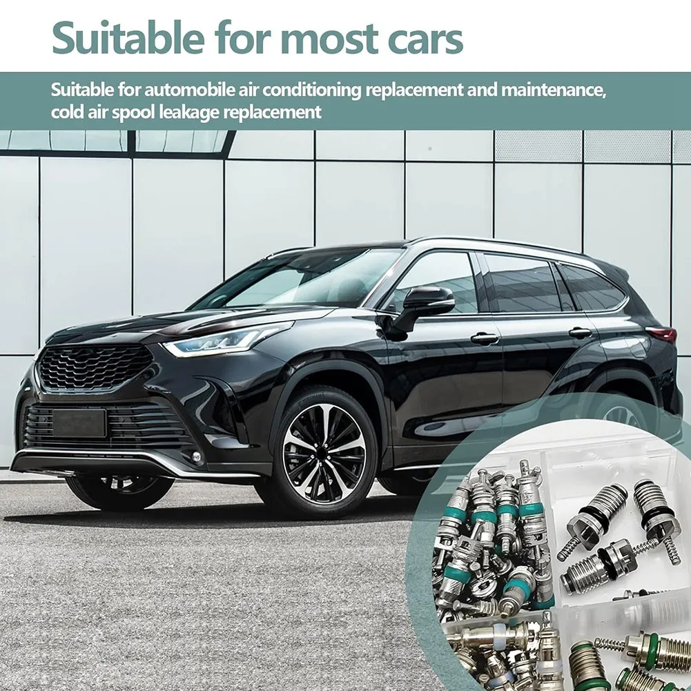 A20F-102 шт., сердечники клапанов для кондиционирования воздуха, сердечники клапанов A/C R12 R134a, набор аксессуаров, набор инструментов для ремонта сердечников штока клапана