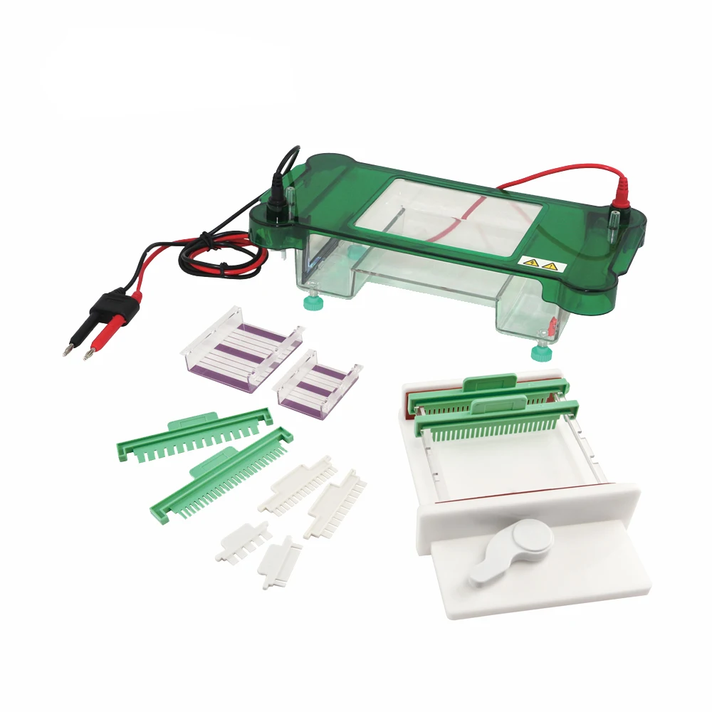 Analizador de aparatos de máquina de electroforesis capilar de gel HB con sistema de fuente de alimentación de tanque celular