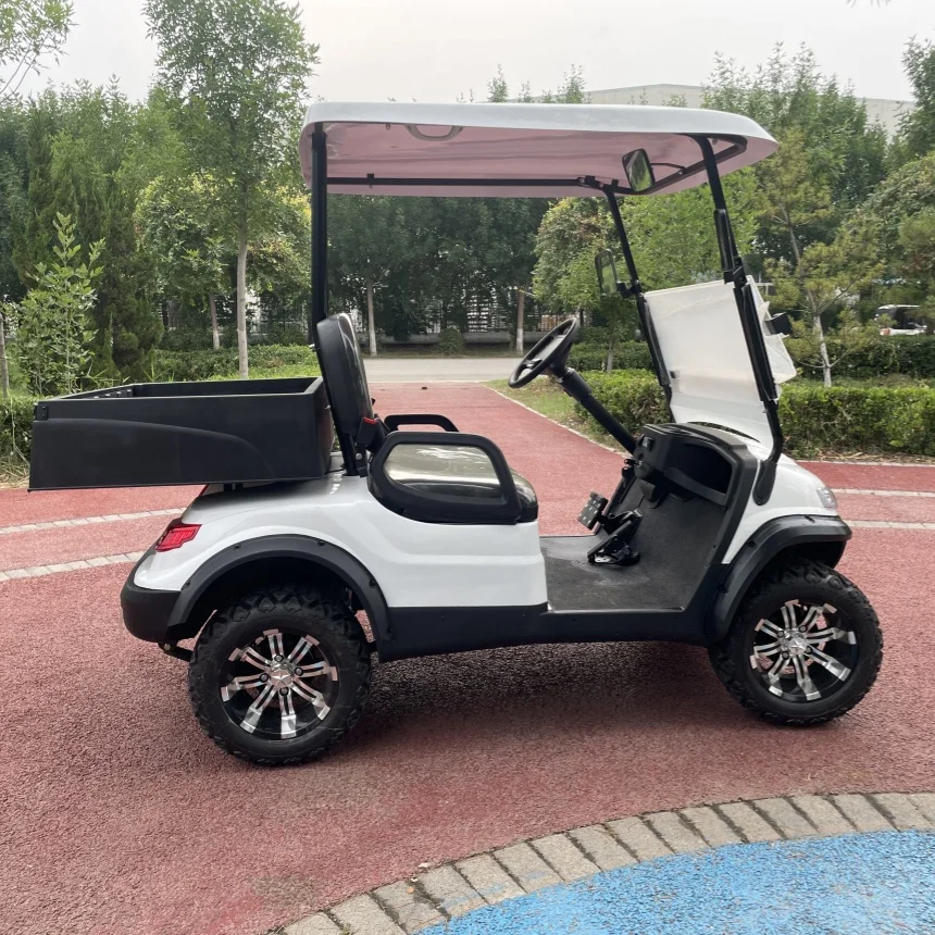 CE Approved 2/4/6/8 Seater Export Electric Golf Cart Golf Course Club Beach Resort 2025 Electric Sightseeing Golf Cart