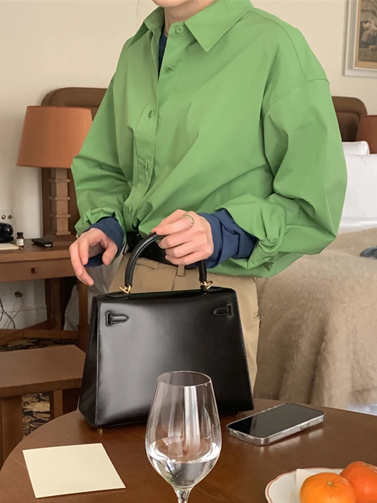 

Lerobe Women's Shirt Summer 2026 Casual Loose Long Sleeve Turn-down Collar Elegant Fashionable Breathable Comfortable Cotton Top