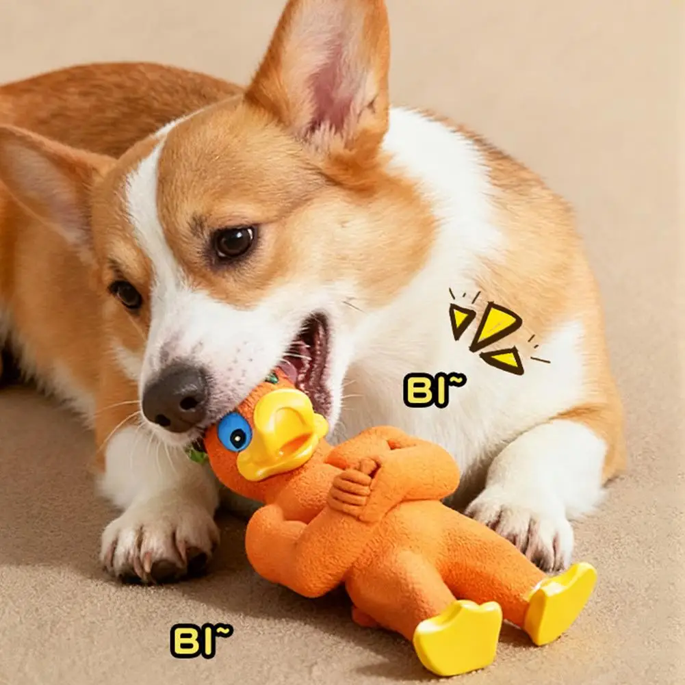 ألعاب كمال الأجسام من اللاتكس الصار - لعبة مضغ ممتعة وترفيهية ذاتية للكلاب المتوسطة والكبيرة